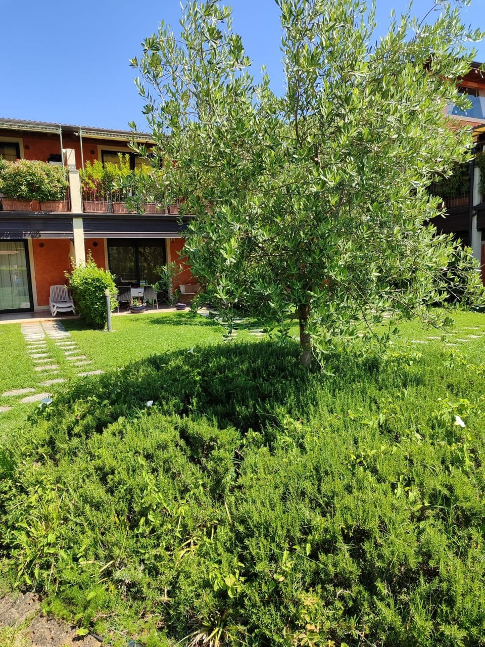Garden, Garden view