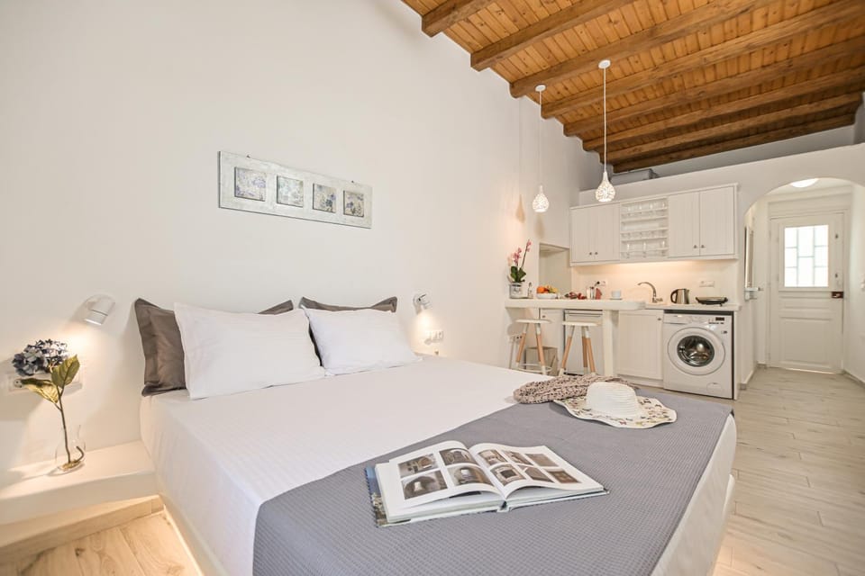 Venetian Suites 3 Apartment in Naxos