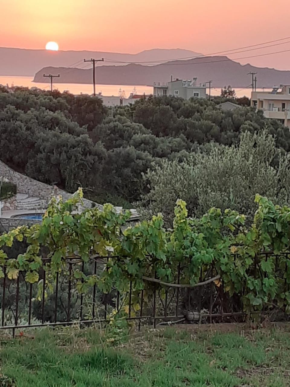 Natural landscape, Garden, Balcony/Terrace, Sea view, Sunset