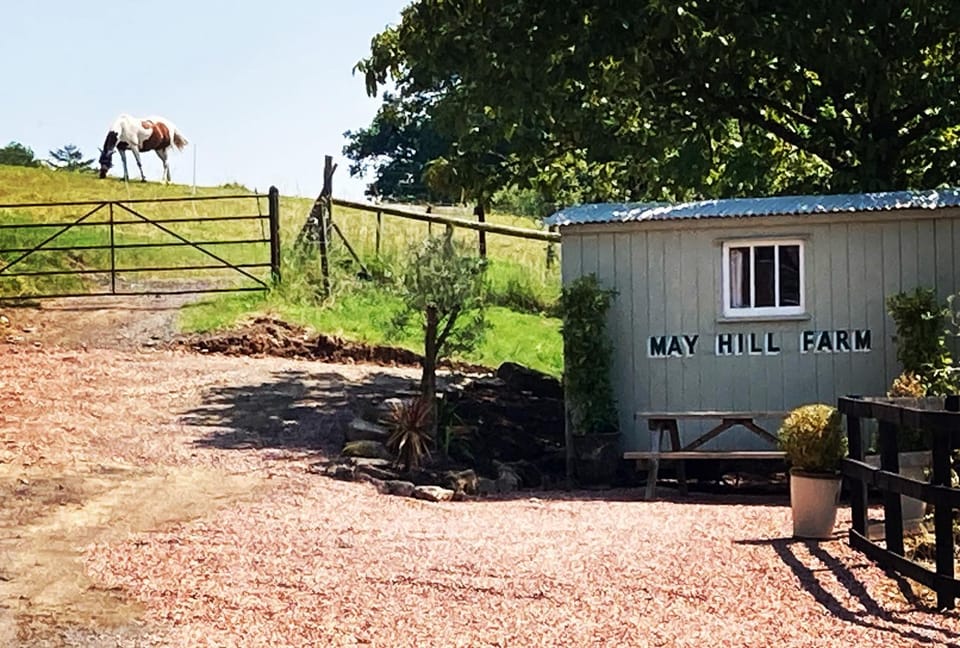 Pet Friendly - 2 Guests - Shepherds Hut House in Forest of Dean