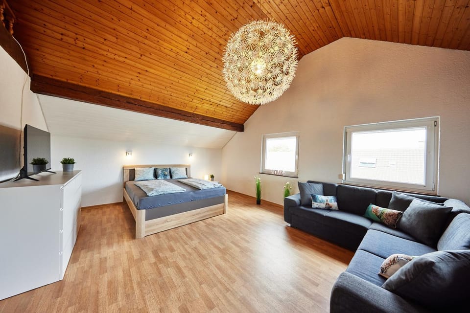 Bed, TV and multimedia, Seating area