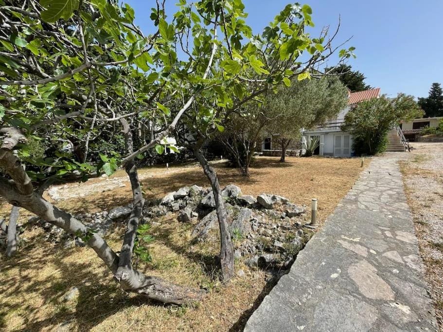 GAJ BEACH APARTMENT Apartment in Novalja