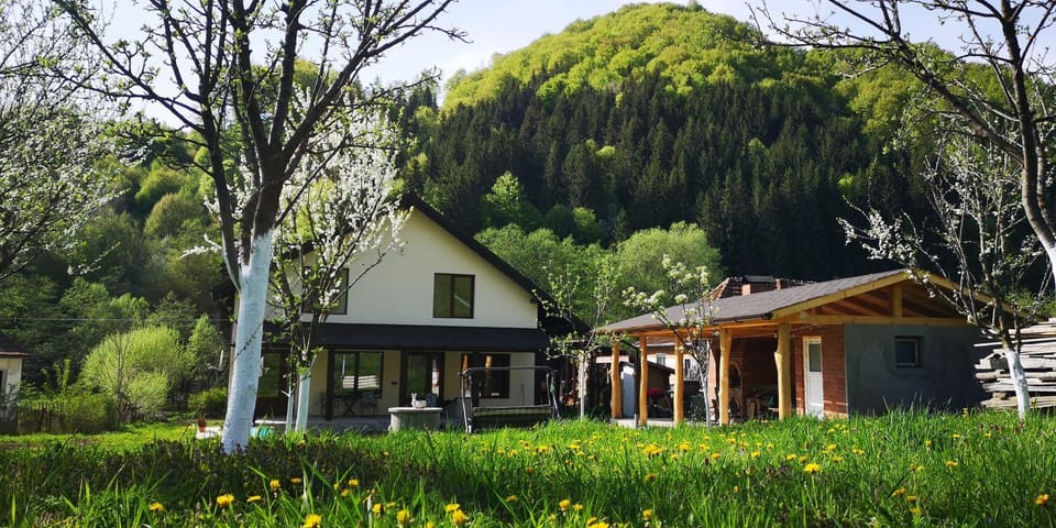 Casa de vacanță Edya House in Romania