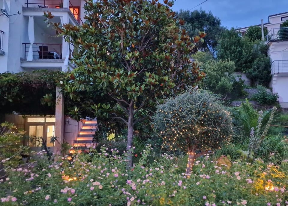Property building, Garden, Garden view