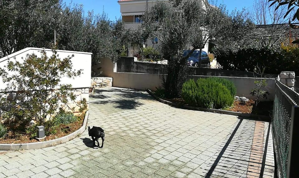 APARTMAN VERA Apartment in Cres