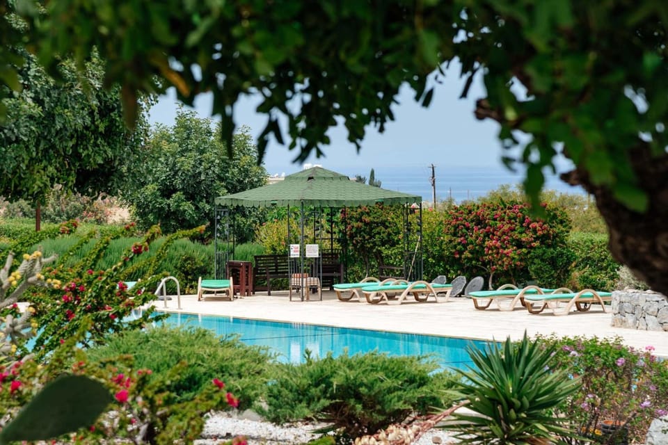 Spring, Day, Natural landscape, Garden, Garden view, Pool view, Swimming pool, sunbed