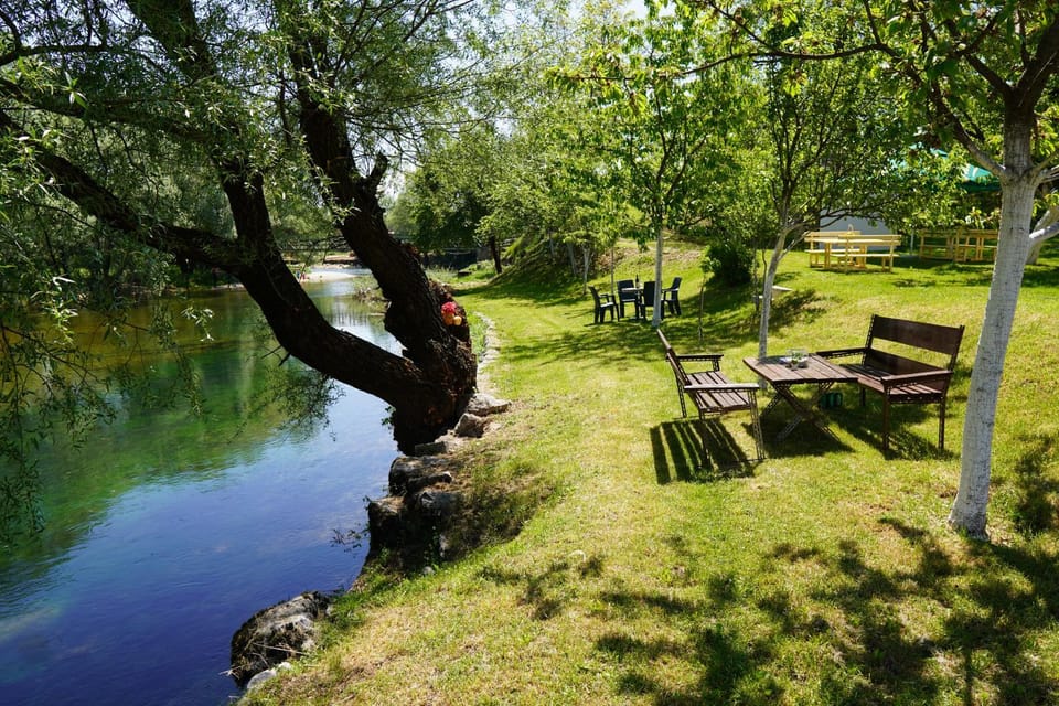 Fishing, Garden, Garden view