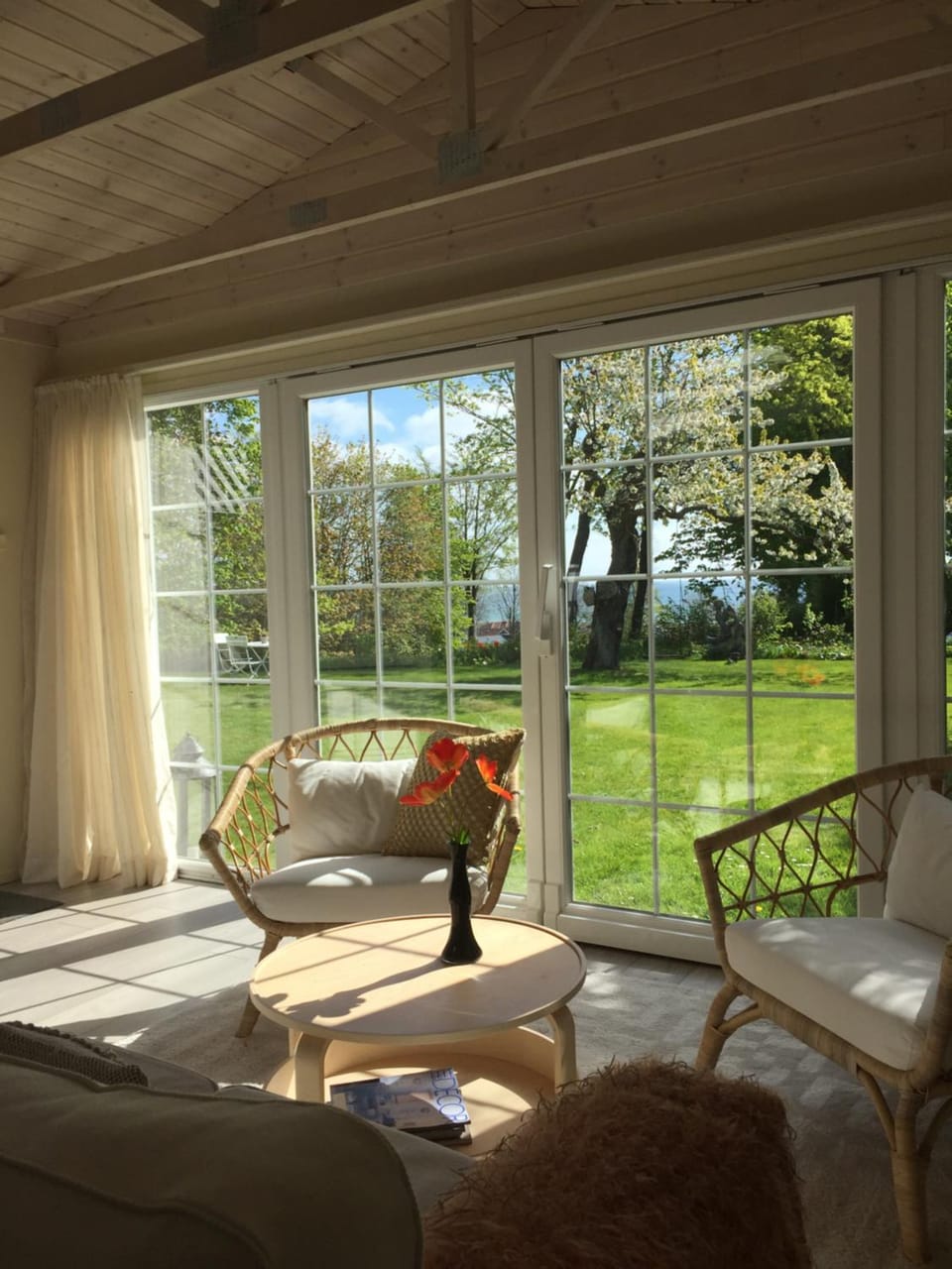 Garden view