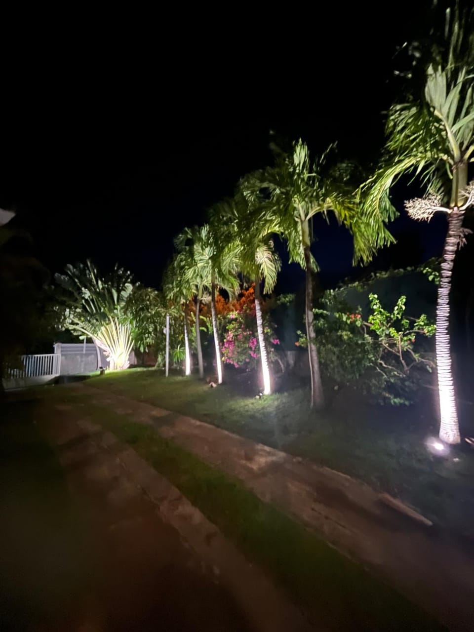 Night
