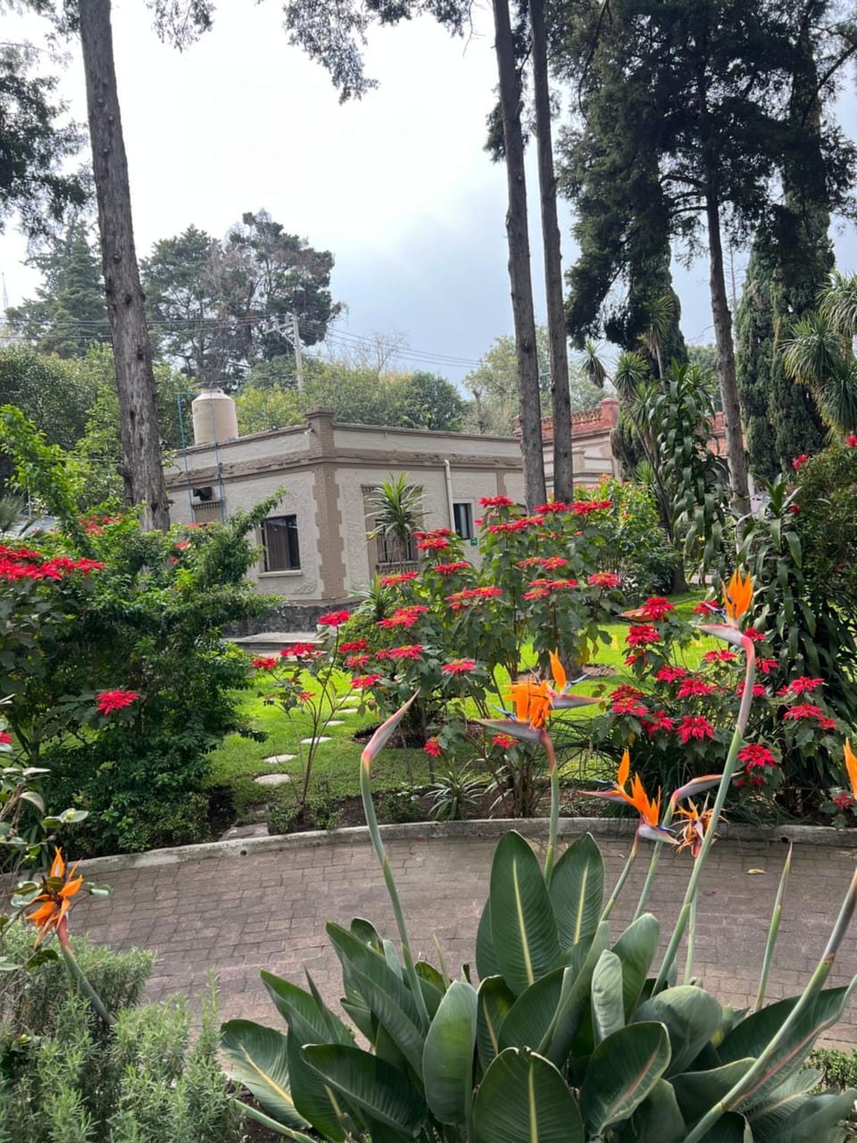 Utopía Hotel Boutique Hotel in Mexico City