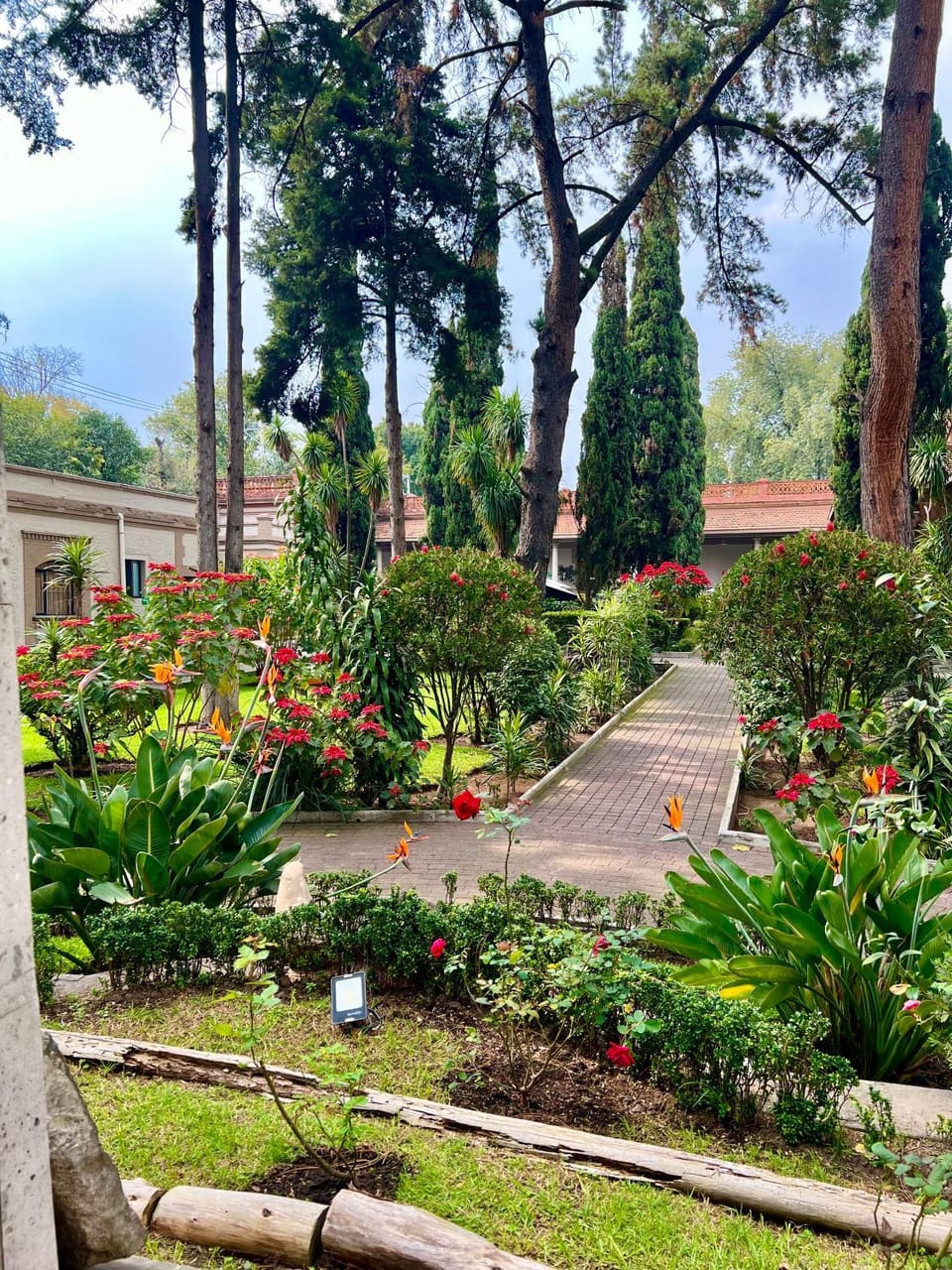 Utopía Hotel Boutique Hotel in Mexico City