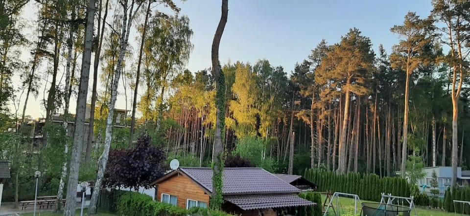 Neighbourhood, Natural landscape, View (from property/room)