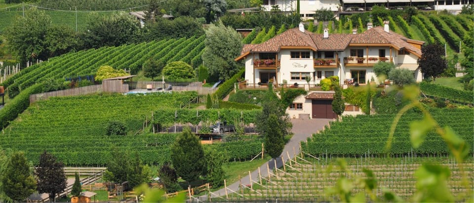 Property building, Day, Natural landscape, Bird's eye view, Garden, Balcony/Terrace, Garden view