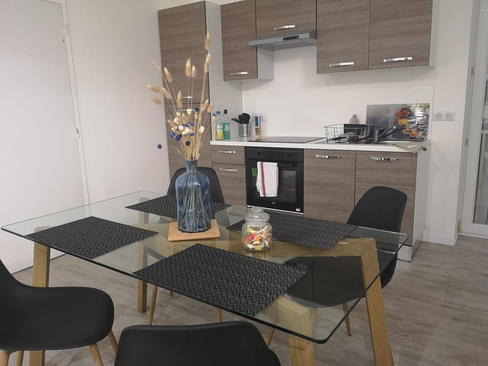 T3 avec salle de bain privative par chambre Apartment in Occitanie