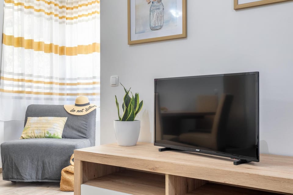 TV and multimedia