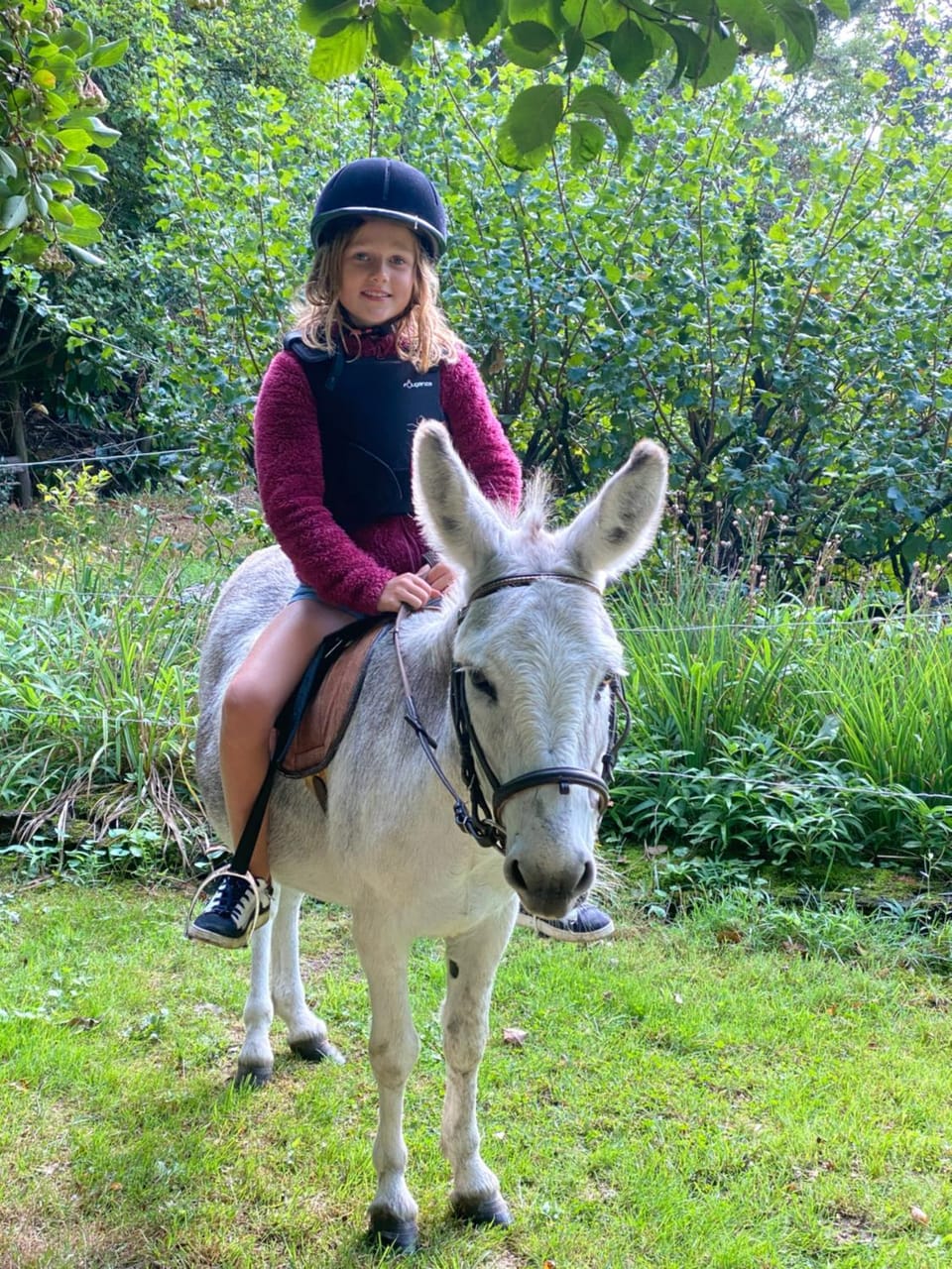 B&B Vennehoeve Bed and Breakfast in Flanders