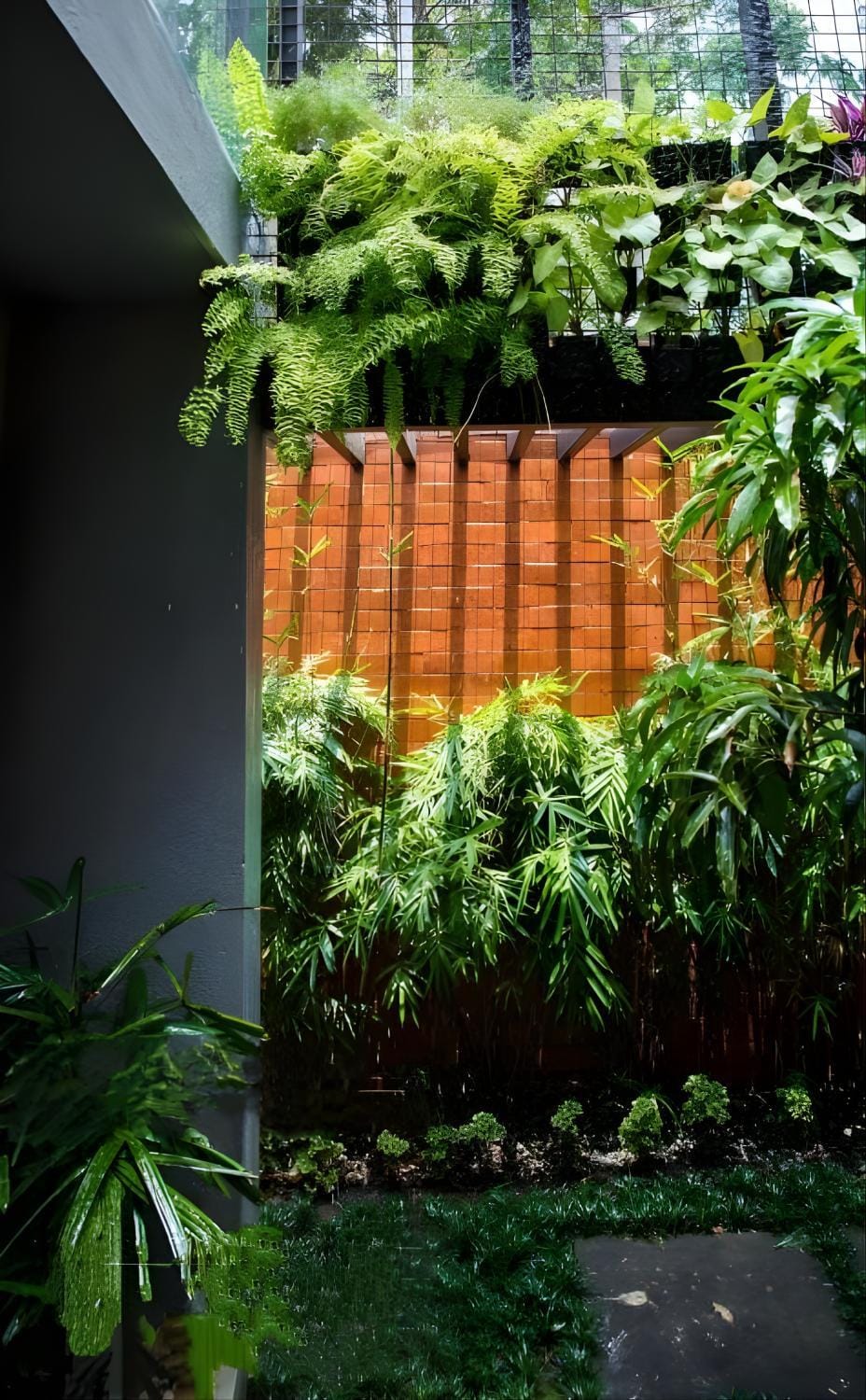 Garden view