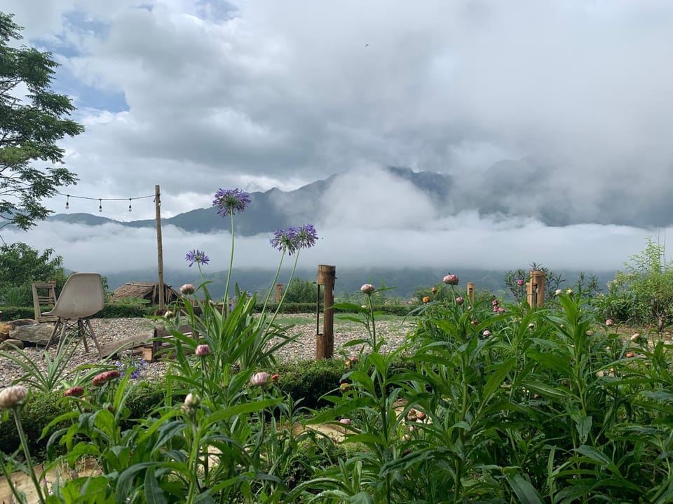 Patio, Mountain view