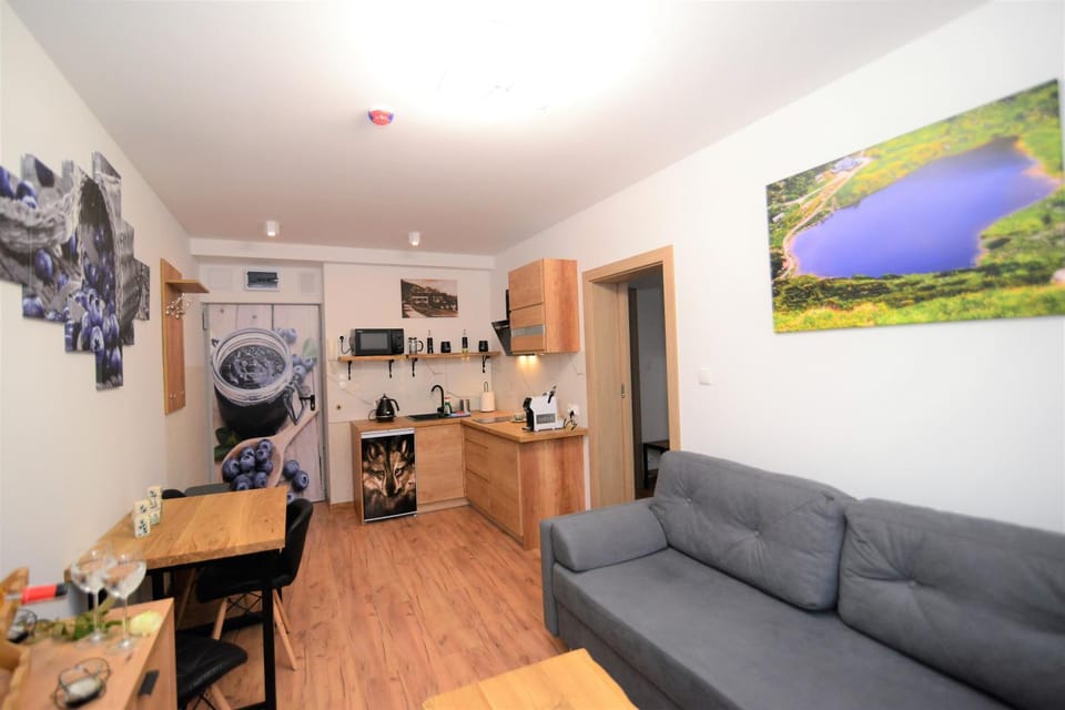 Apartament De Luxe Emily Karpacz Apartment in Lower Silesian Voivodeship