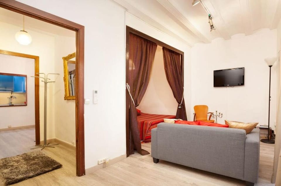 Esquirol Apartment in Barcelona