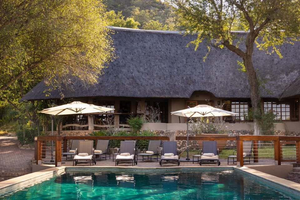 Property building, Patio, Day, Natural landscape, Garden, Garden view, Pool view, Swimming pool, sunbed
