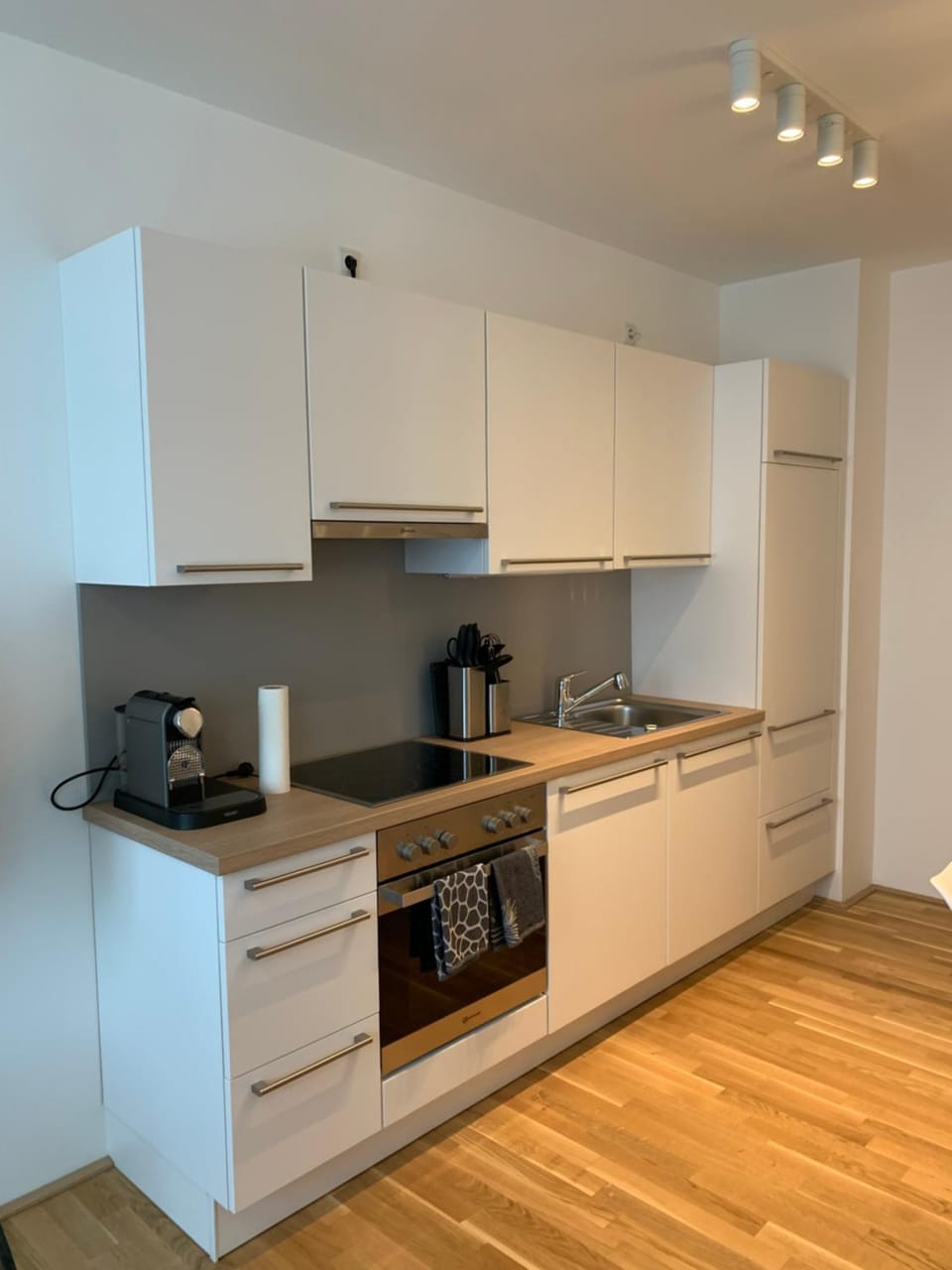 Kitchen or kitchenette, kitchen