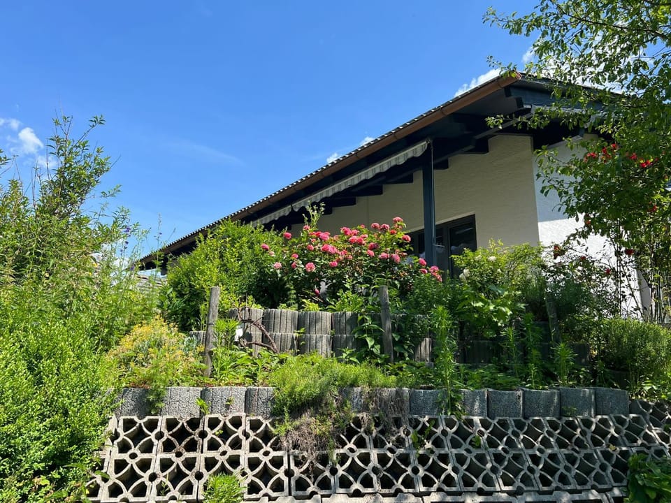 Garden, Garden view