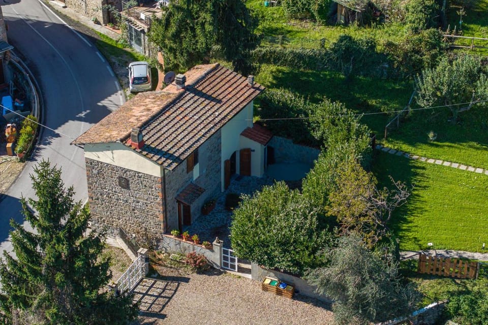 Property building, Garden, Garden view
