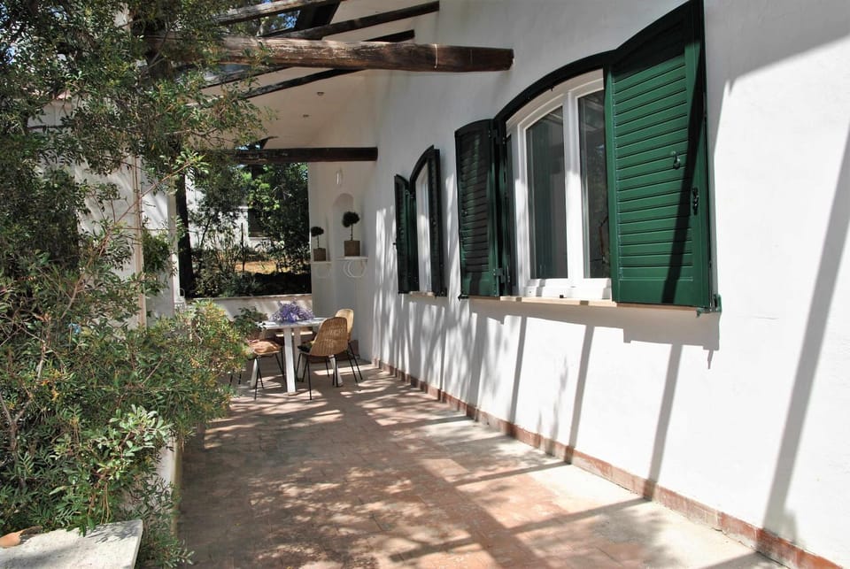 Patio, Facade/entrance