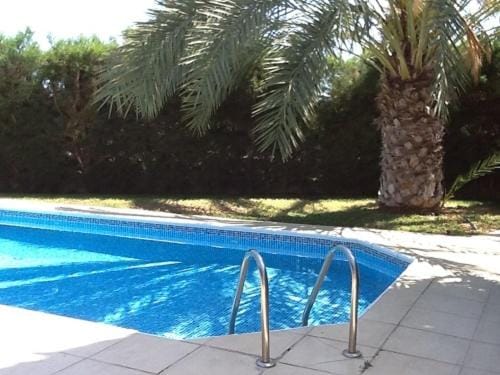 Patio, Garden, Swimming pool