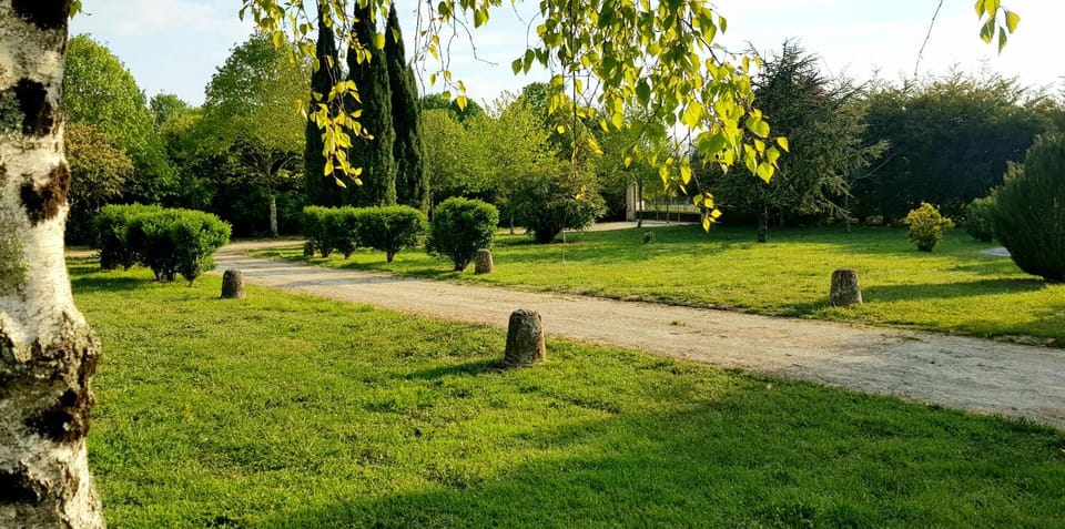 Natural landscape, Garden, Garden view