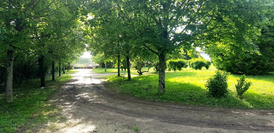 Spring, Natural landscape, Garden view