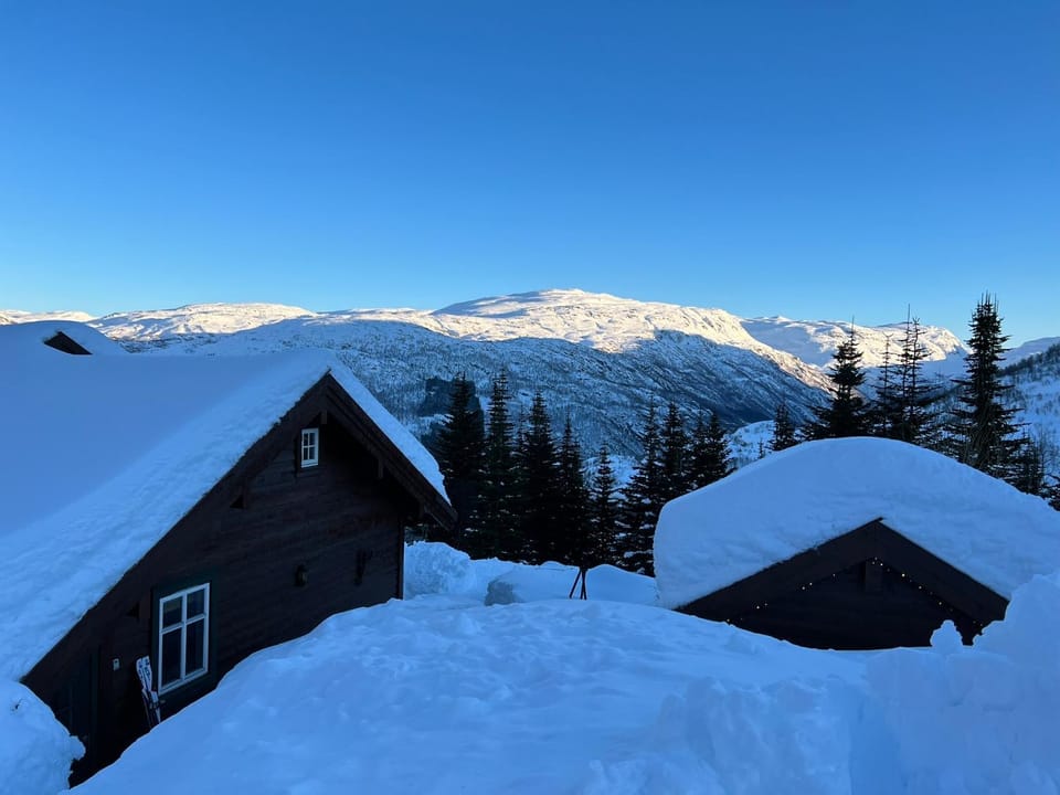 Winter