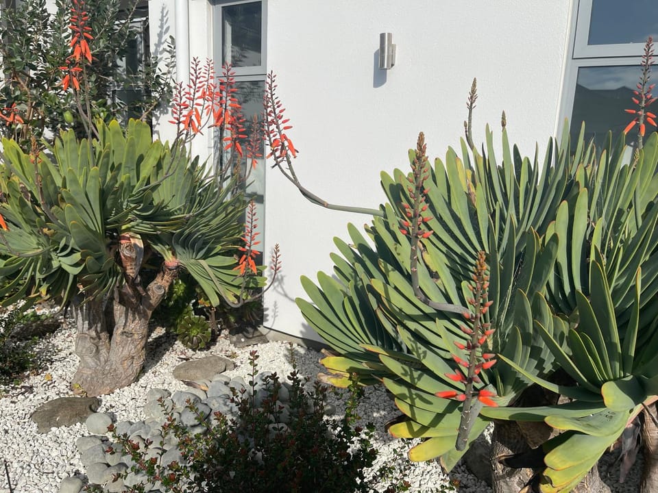 Patio, Balcony/Terrace
