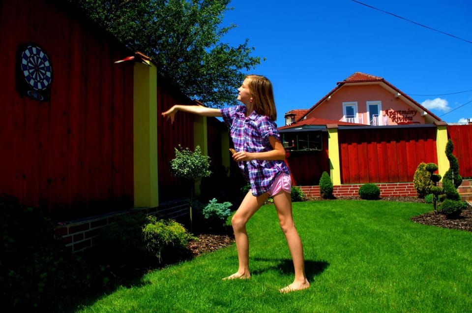 Darts, Garden, Garden, Entertainment, Entertainment