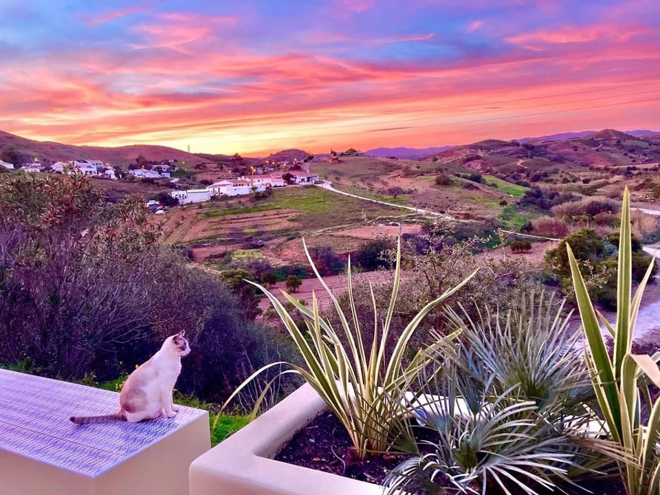 Natural landscape, Hiking, Pets, Sunset