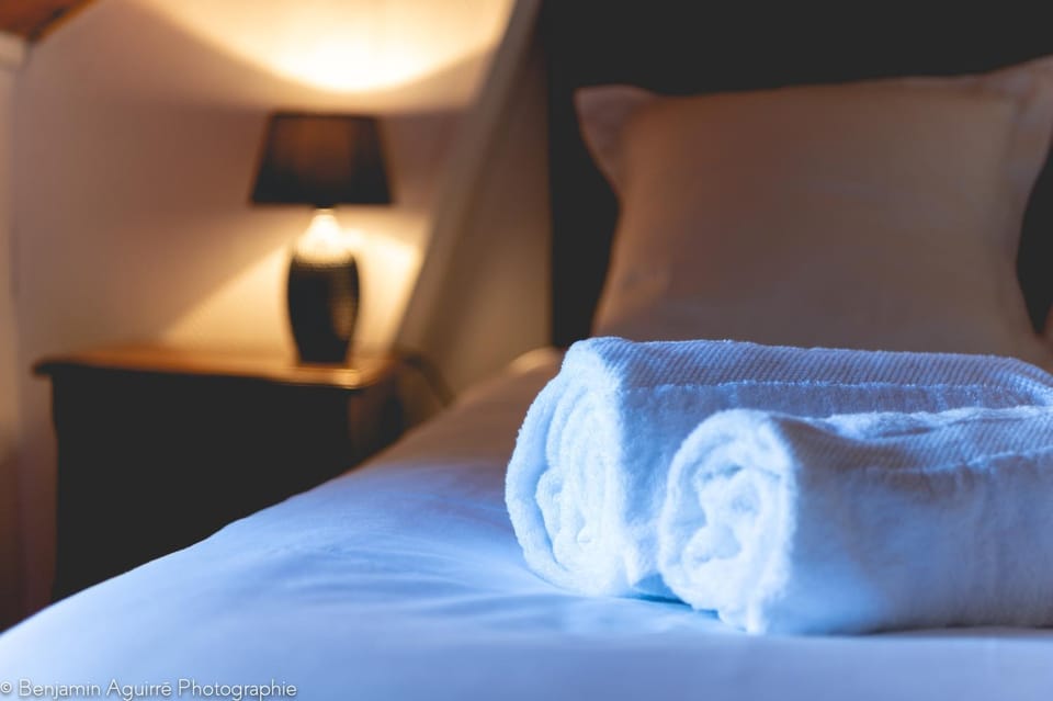 Villa Lamartine Villa in Aix-les-Bains