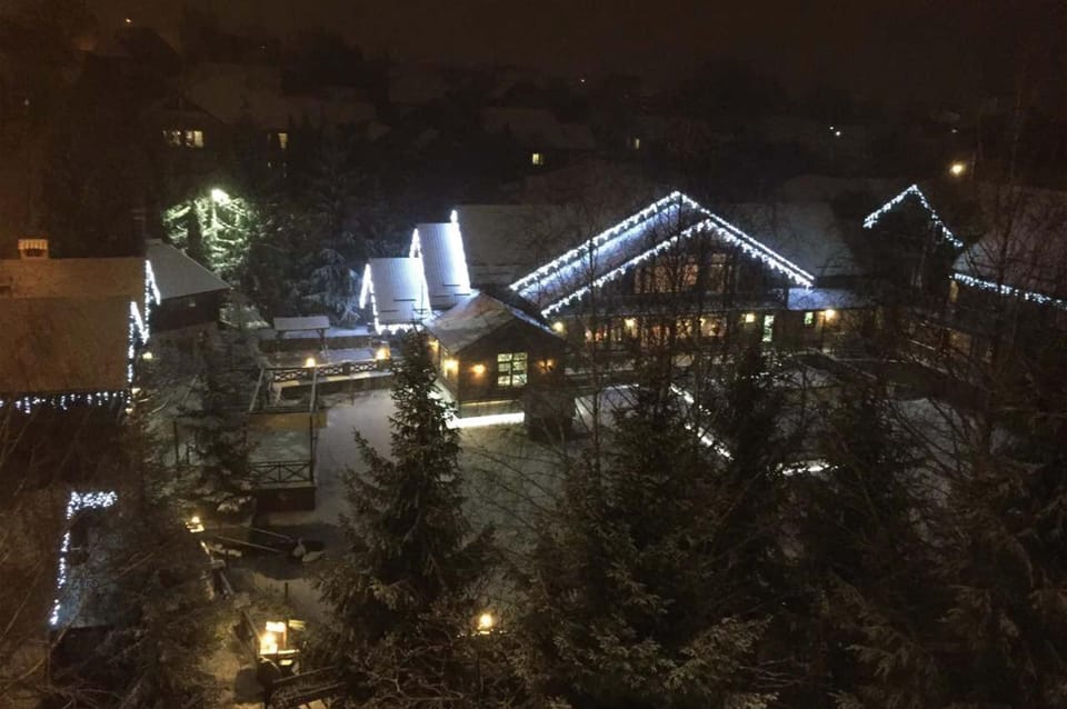 Restaurant/places to eat, Night, Lake view