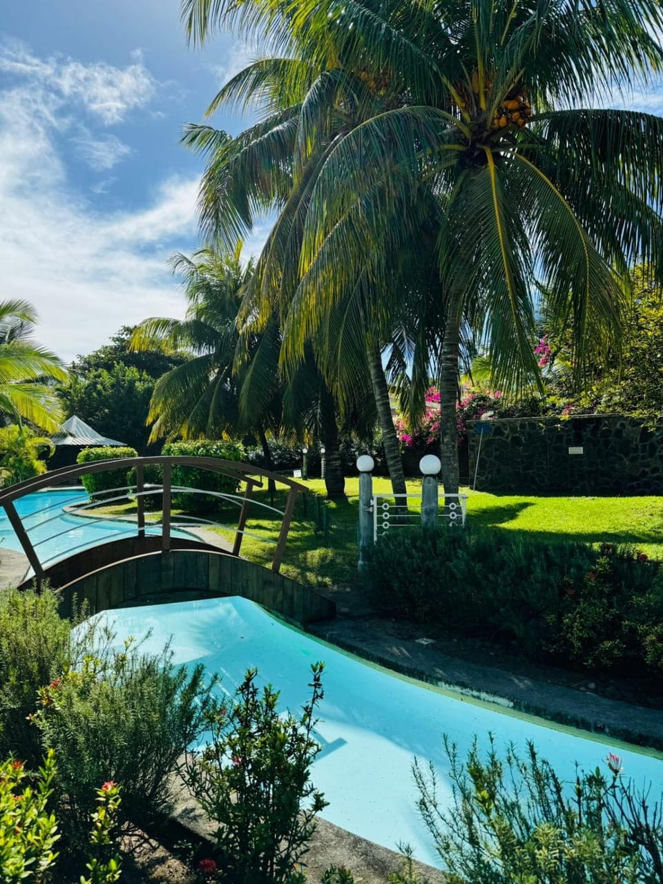 Nearby landmark, Natural landscape, Garden, Garden view, Pool view, Swimming pool