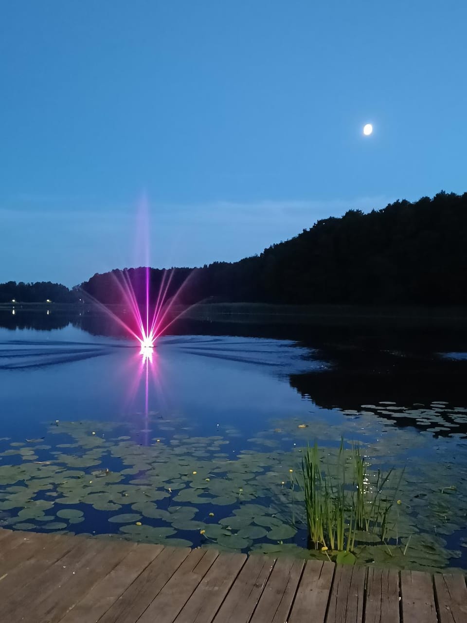 Lake view