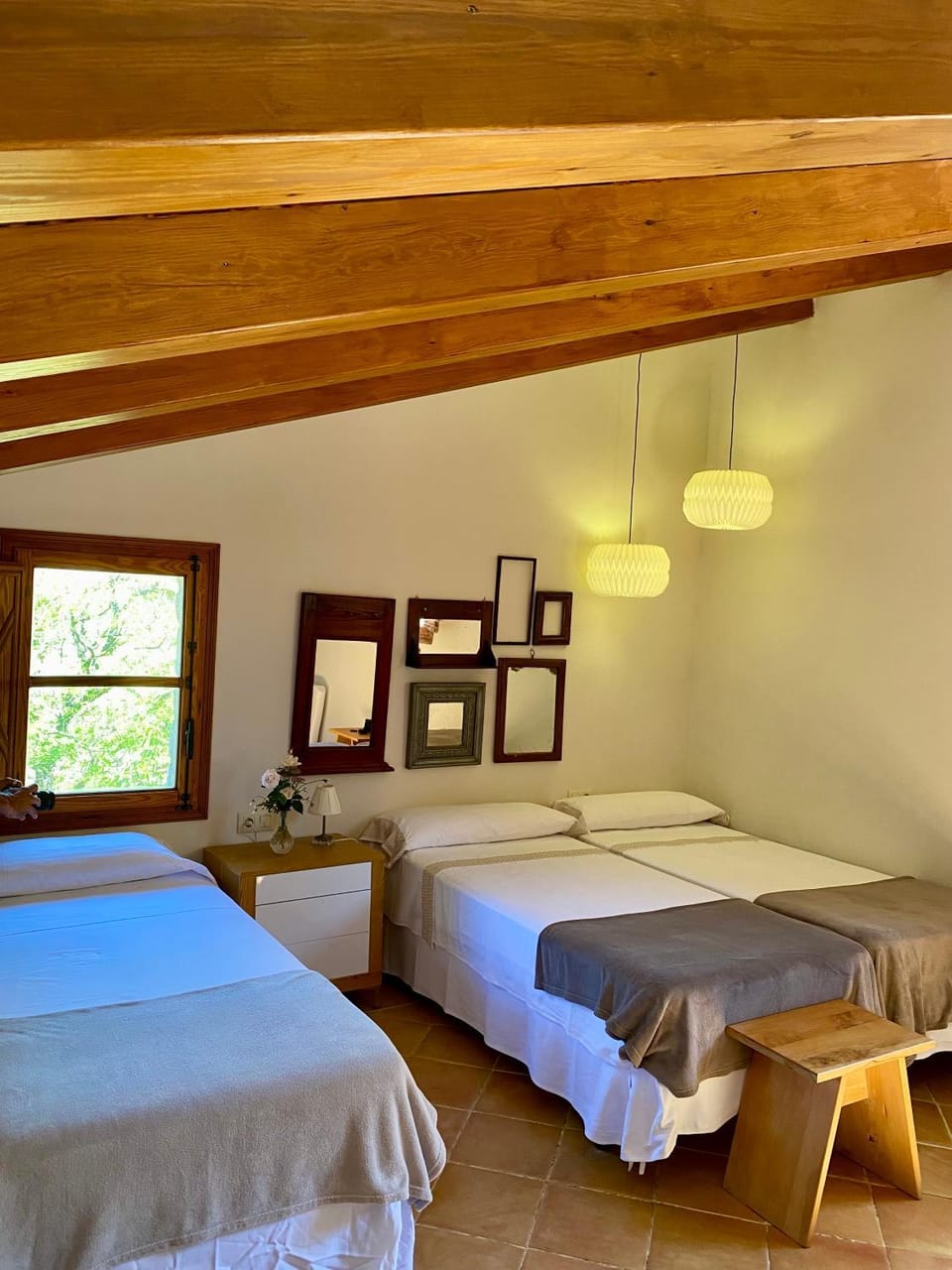 Photo of the whole room