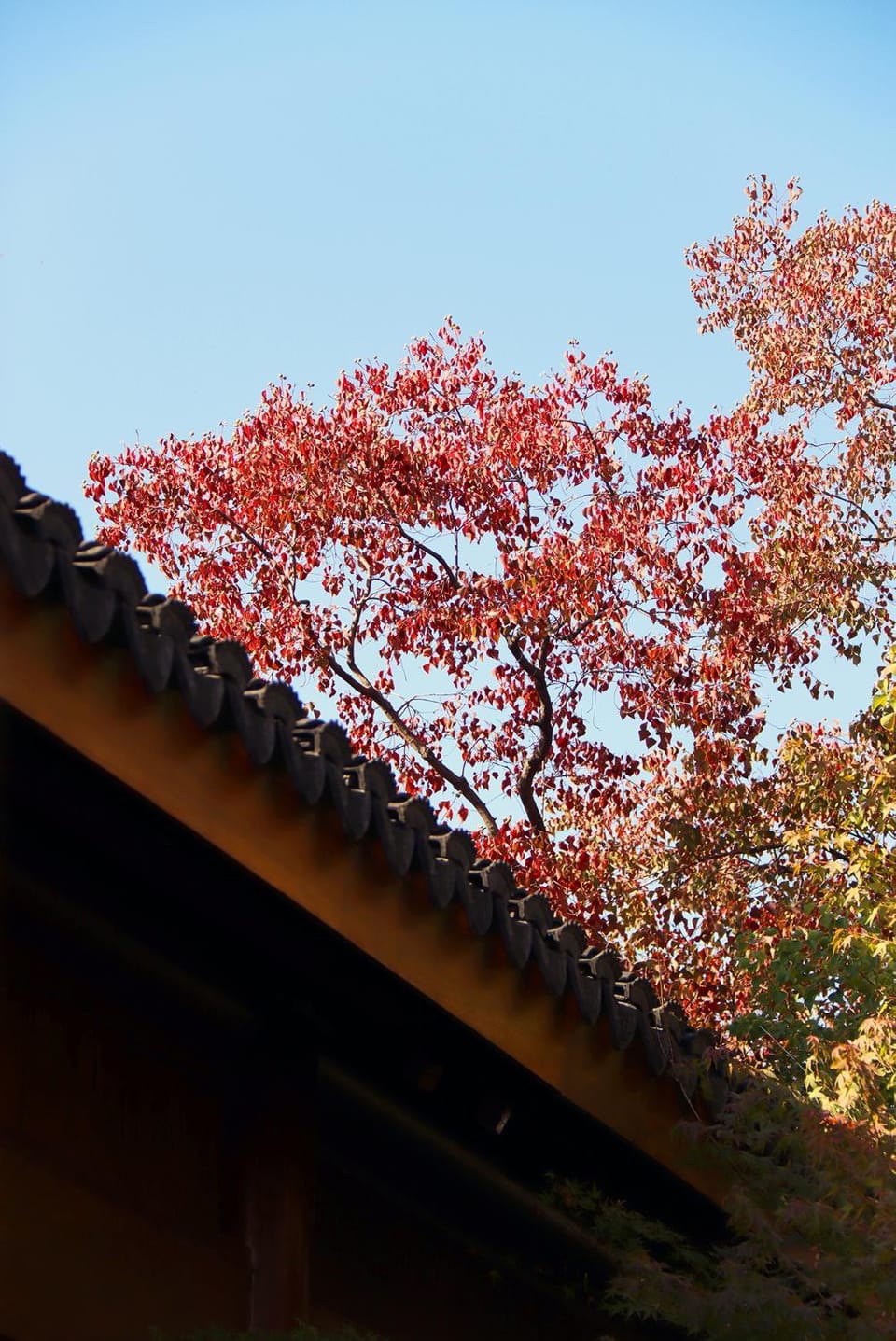 Property building, Autumn