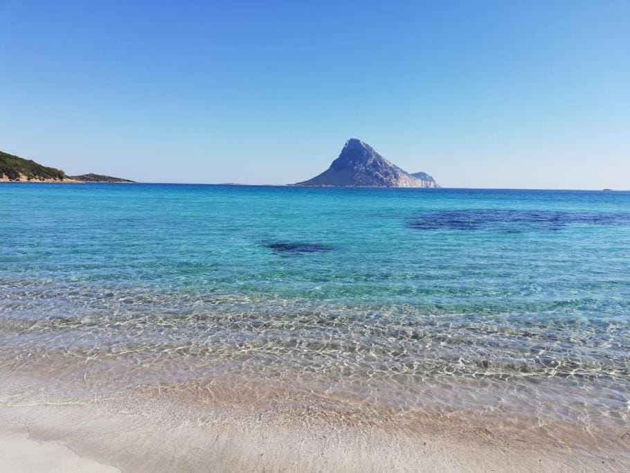 vacanze a Monte Petrosu House in Sardinia