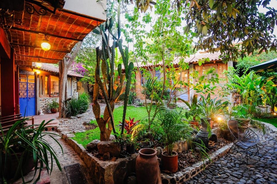 Garden, Garden view, Inner courtyard view