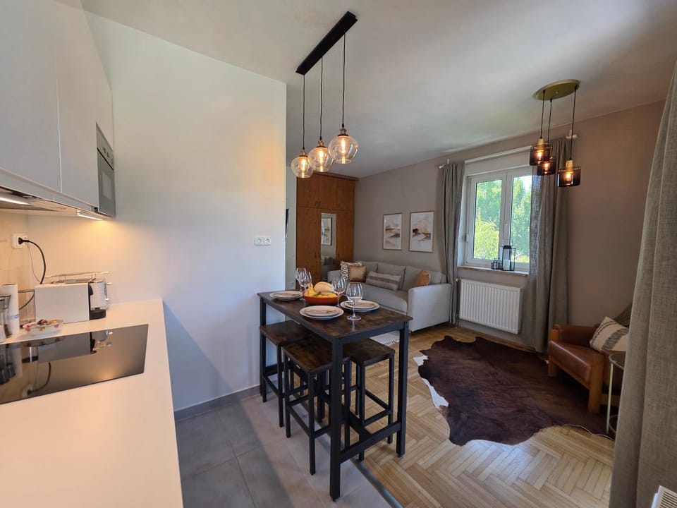 Kitchen or kitchenette, Living room, Seating area, Dining area, stove