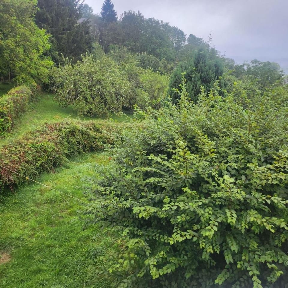 Maison Bourgogne House in Bourgogne-Franche-Comté