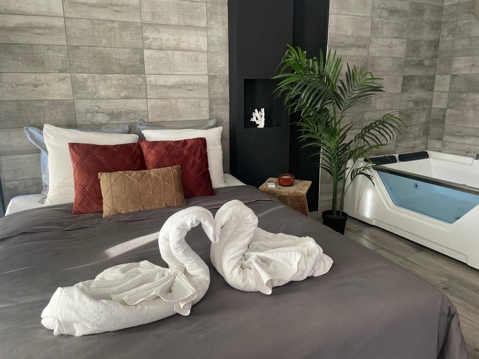 Superbe appartement avec balnéo. Apartment in Saint-Cyprien