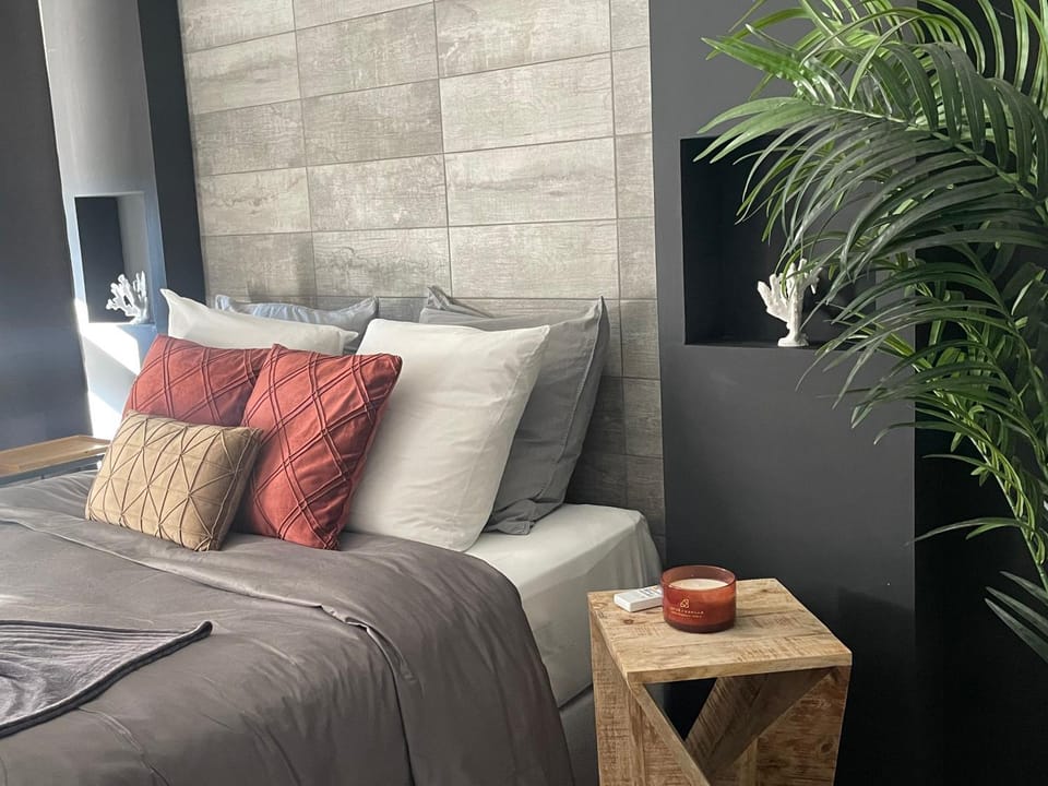 Superbe appartement avec balnéo. Apartment in Saint-Cyprien