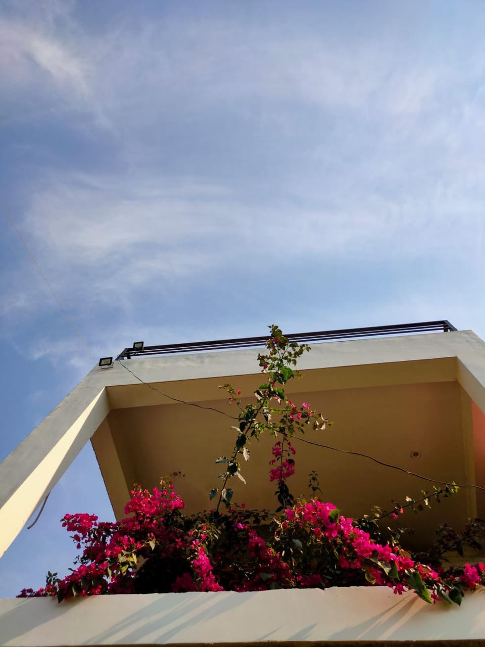 View (from property/room), Balcony/Terrace