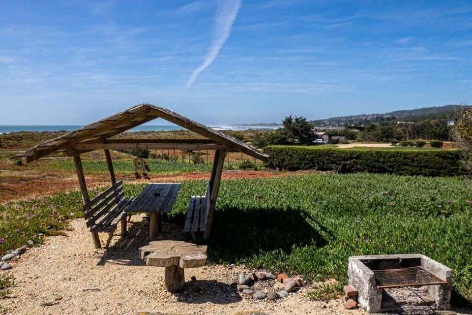 Spring, Day, Natural landscape, Garden, Garden view, Sea view